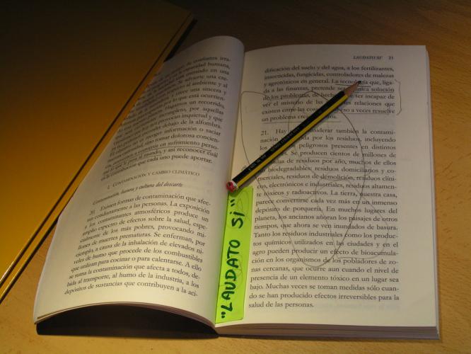 laudato si y mi nieto